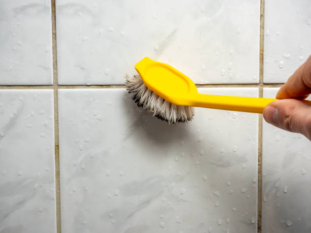 Best Basement Mold Remediation in Norwalk, CA