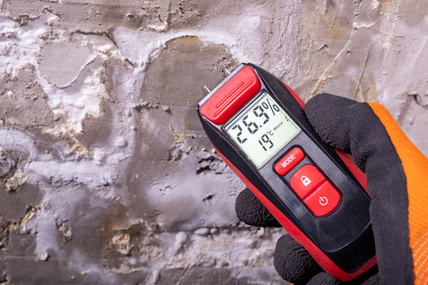 Professional Mold Remediation in Norwalk, CA