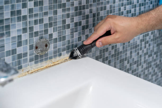 Best Health and Safety Mold Remediation in Norwalk, CA