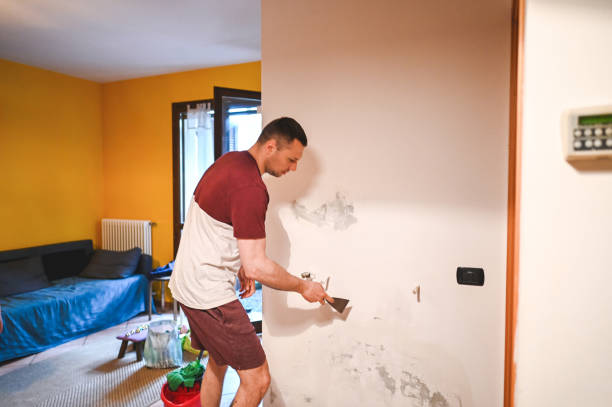 Best Attic Mold Remediation in Norwalk, CA